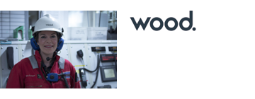 PLC22_ShrtRev_Wood Grp 2.png